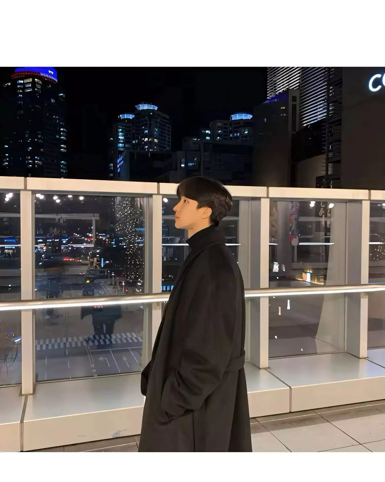 Single-Breasted Wool Coat